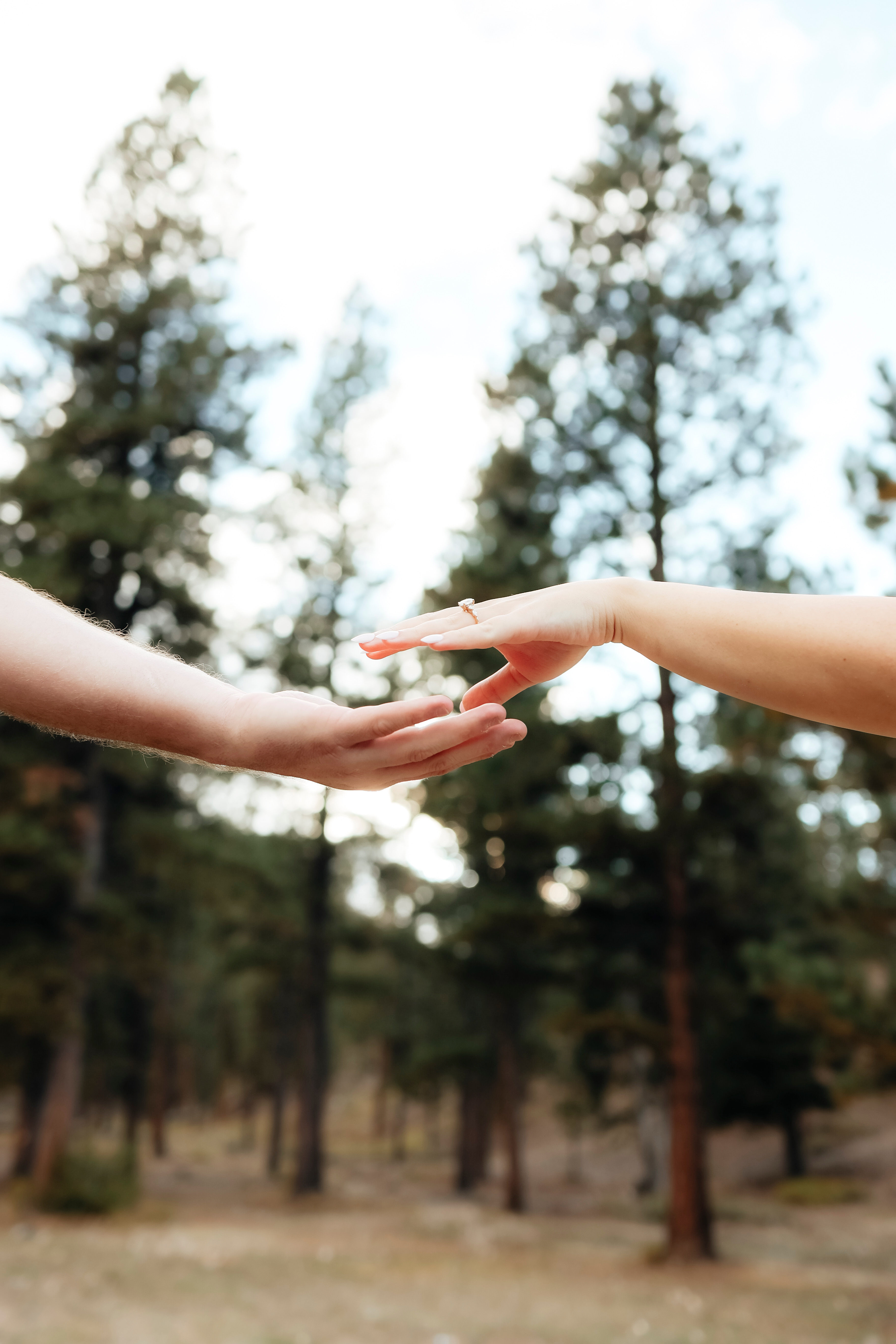 Engagement Session — photo 4