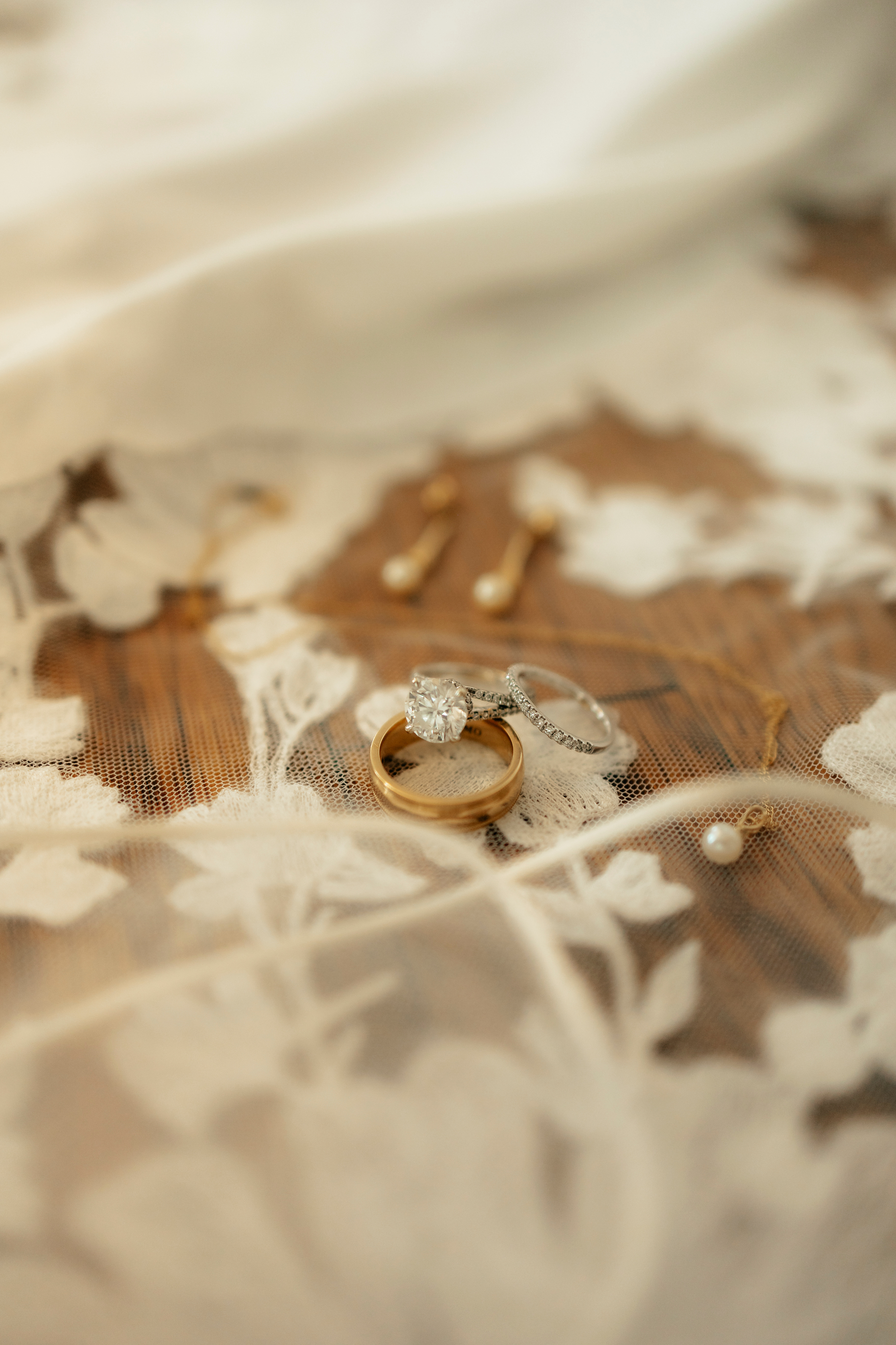 The Stephensons — photo 7