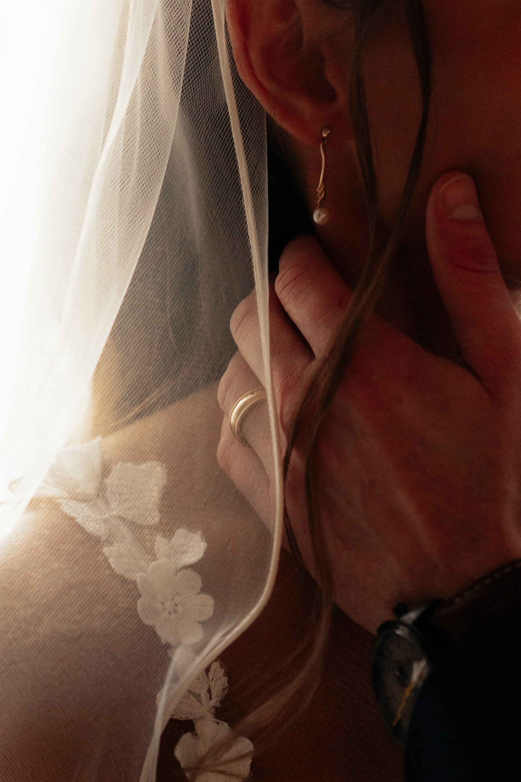 The Stephensons — photo 10